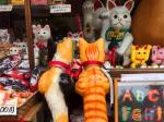 猫和神社和懒散时光 